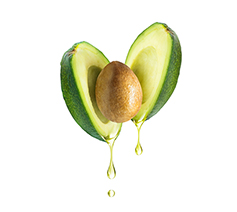 Avocado Oil