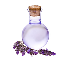 Lavender Oil