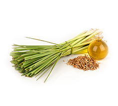 Lemongrass Oil