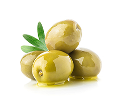 Olive Fruit Extract